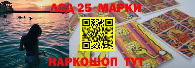 амф Кандалакша
