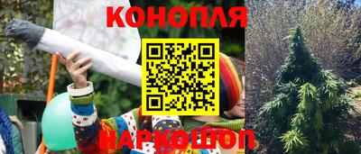 амф Кандалакша
