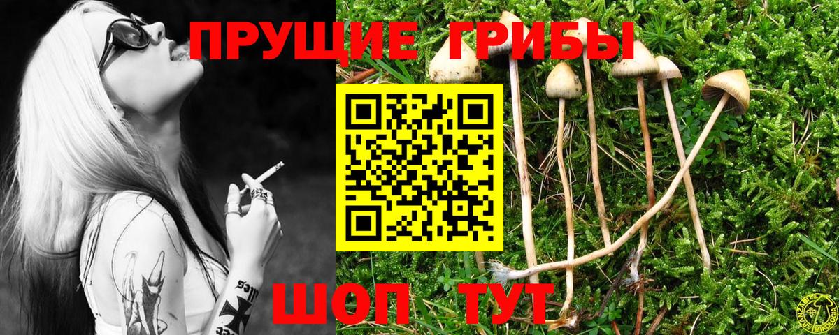 цена   Галлюциногенные грибы ЛСД  Вход с VPN  Галлюциногенные грибы Psilocybine cubensis  Чита 