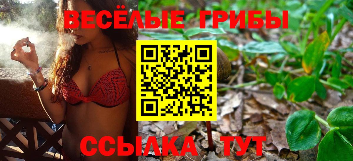 Псилоцибиновые грибы мухоморы Чита